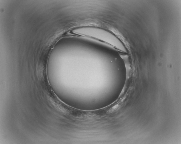 X0000075380201200609291559