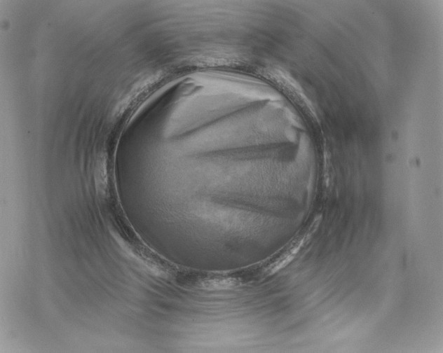 X0000075380202200609291559