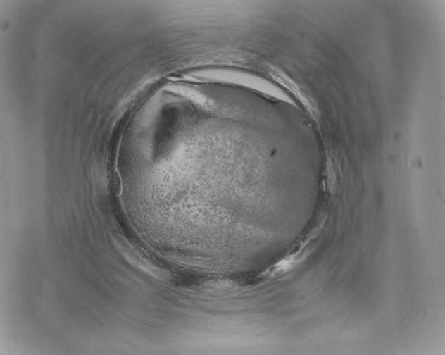 X0000075380203200609291559