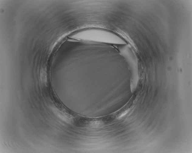 X0000075380204200609291559