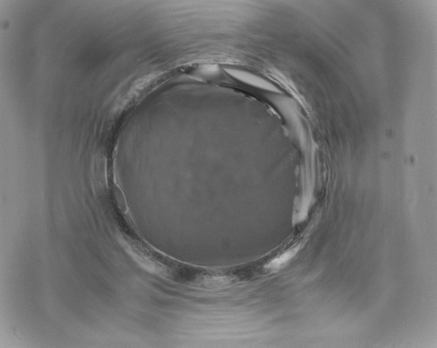 X0000075380205200609291559