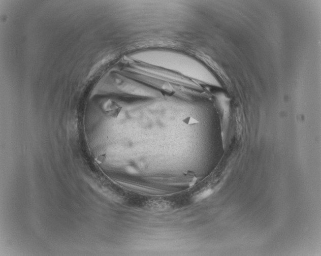 X0000075380207200609291559