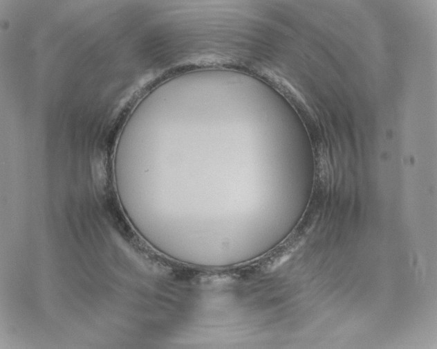 X0000075380208200609291559