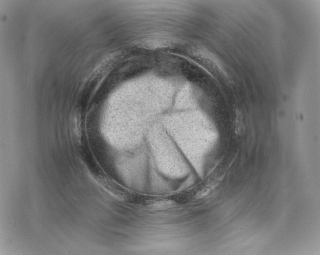 X0000075380210200609291559