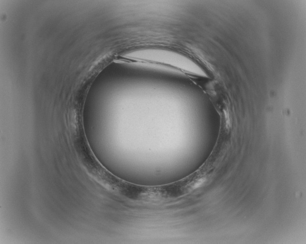 X0000075380211200609291559