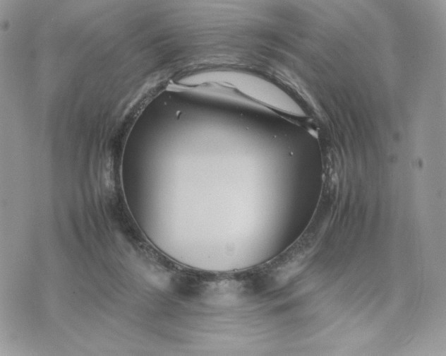 X0000075380212200609291559