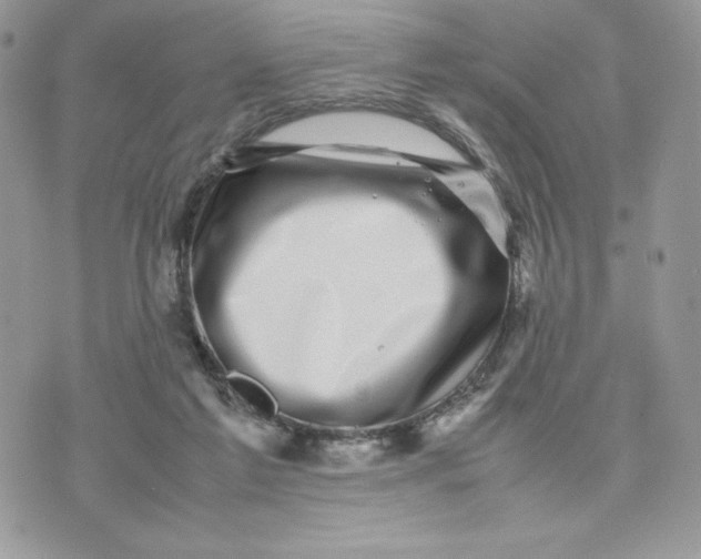 X0000075380213200609291559