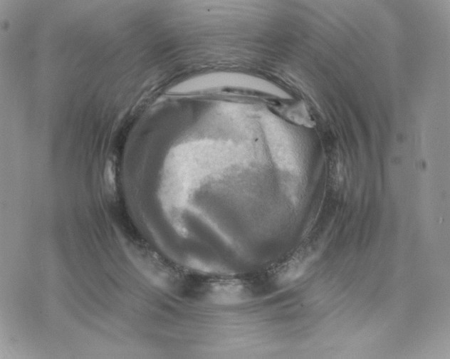 X0000075380214200609291559