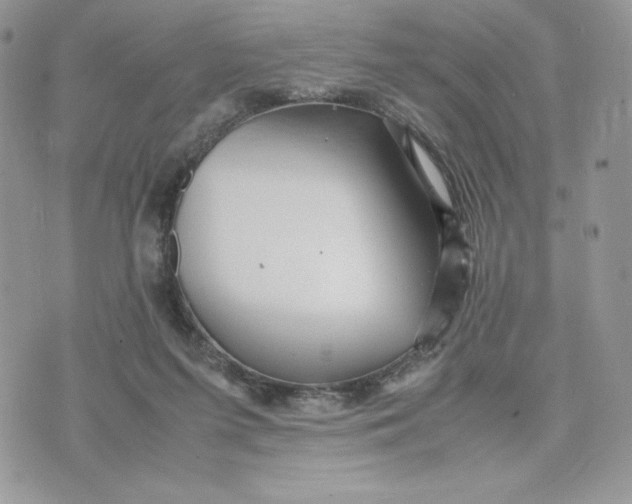 X0000075380215200609291559