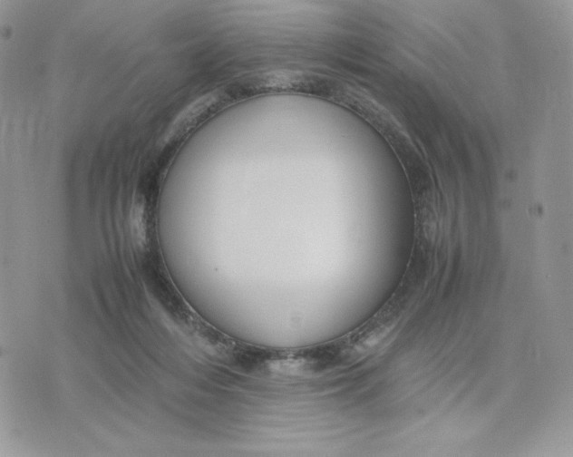 X0000075380216200609291559