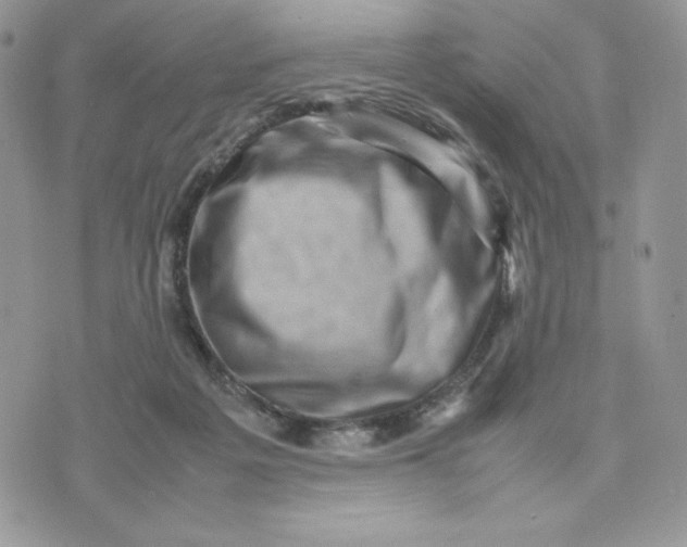 X0000075380217200609291559