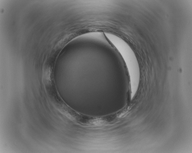 X0000075380219200609291559