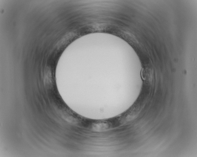 X0000075380220200609291559