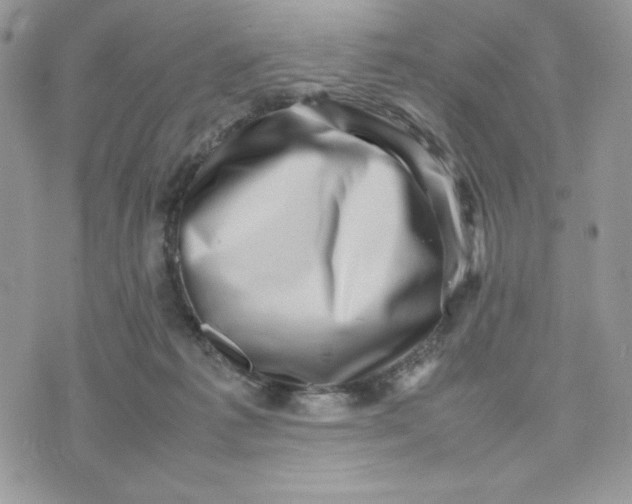 X0000075380221200609291559