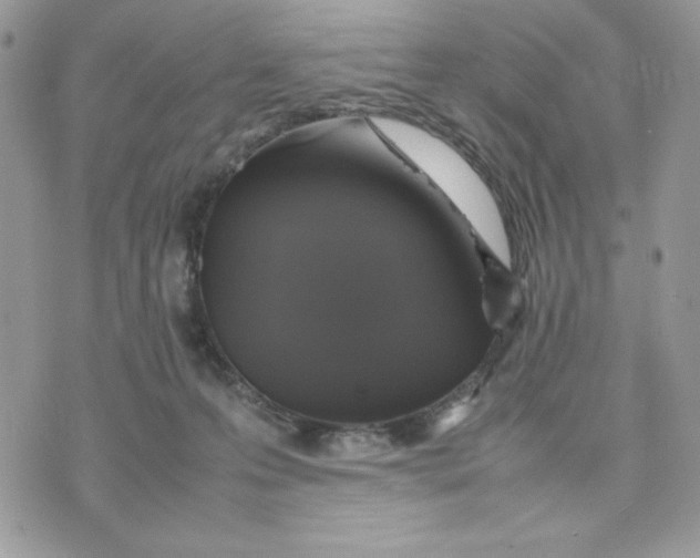 X0000075380223200609291559