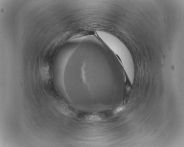 X0000075380224200609291559