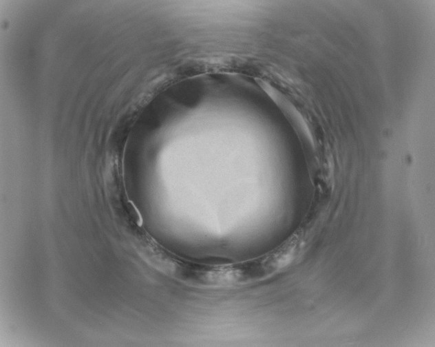 X0000075380225200609291559