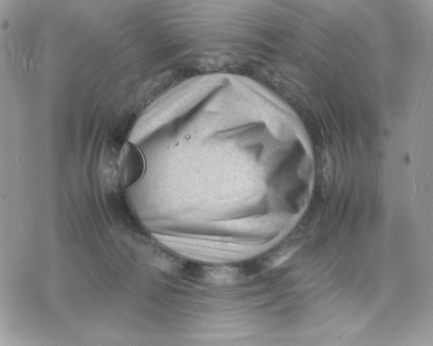 X0000075380226200609291559