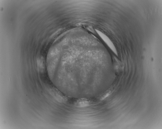 X0000075380228200609291559