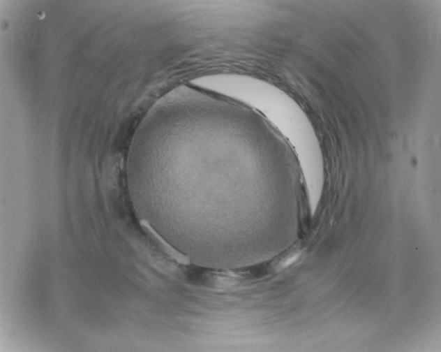 X0000075380229200609291559