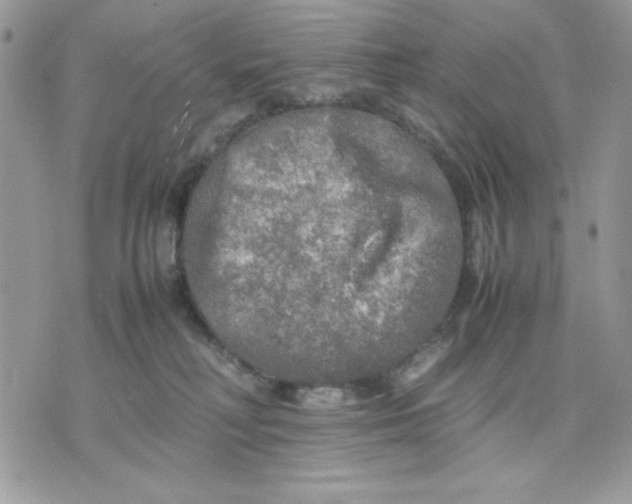 X0000075380230200609291559