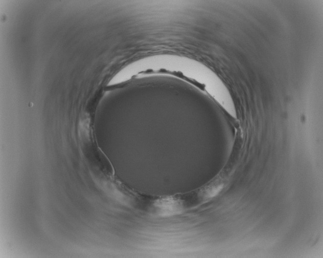 X0000075380231200609291559