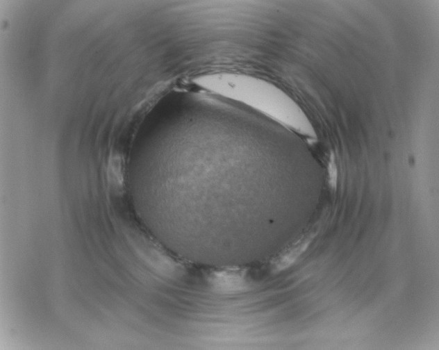 X0000075380232200609291559