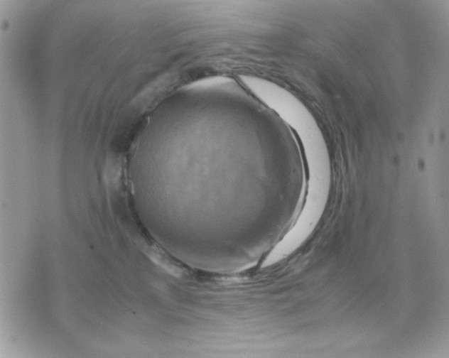 X0000075380233200609291559