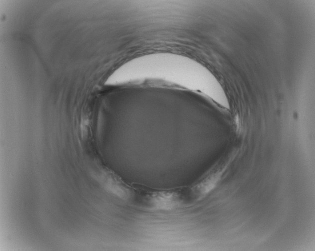 X0000075380235200609291559