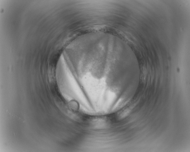 X0000075380236200609291559