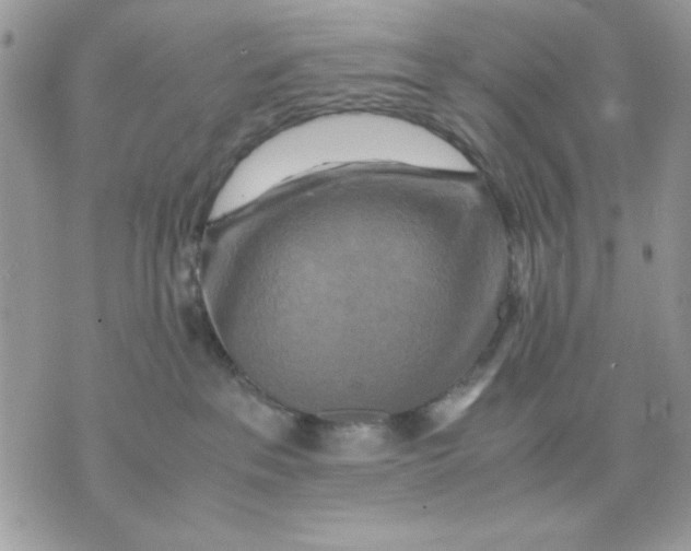 X0000075380237200609291559