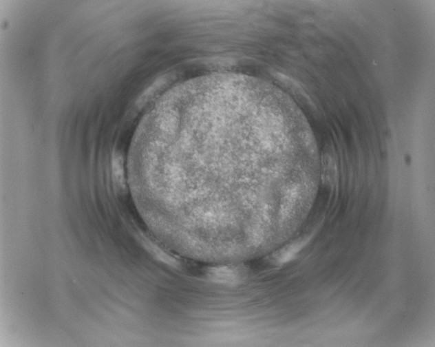 X0000075380238200609291559