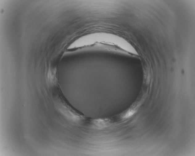 X0000075380239200609291559