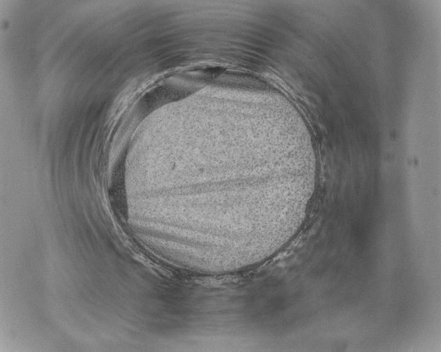 X0000075380241200609291558