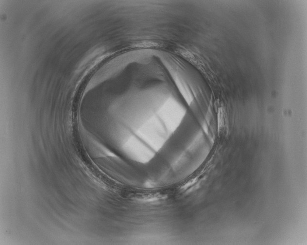 X0000075380243200609291558