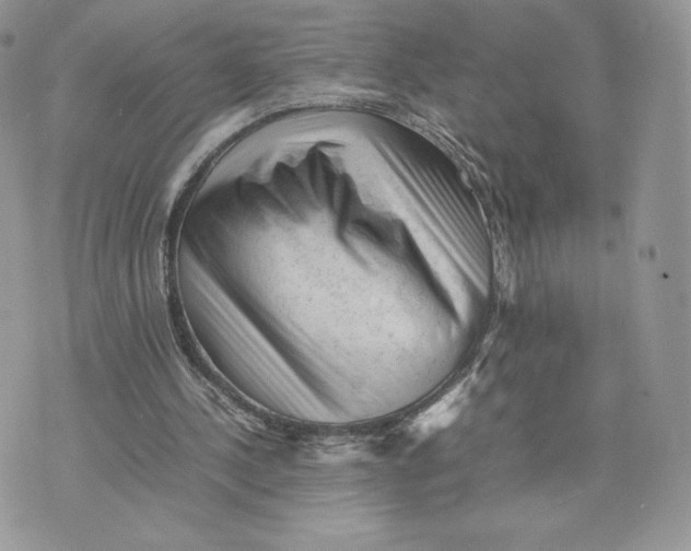 X0000075380244200609291558