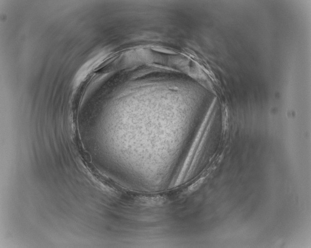 X0000075380245200609291558