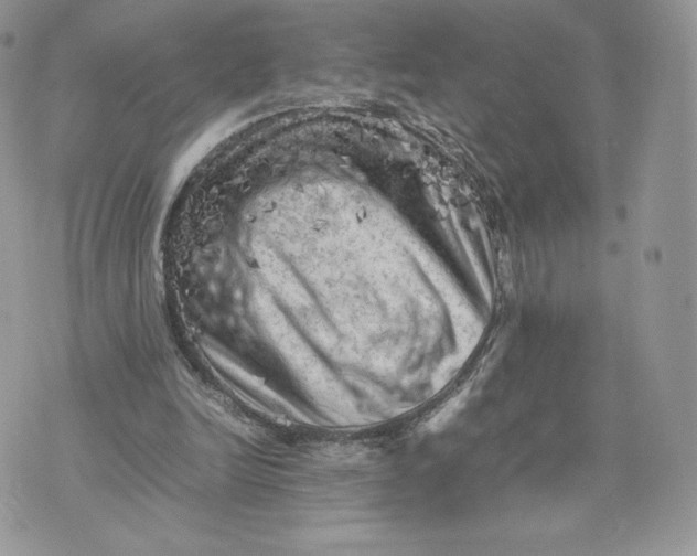 X0000075380246200609291558