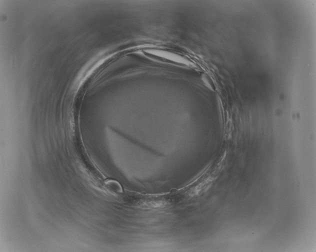 X0000075380247200609291558