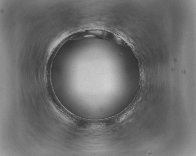 X0000075380248200609291558