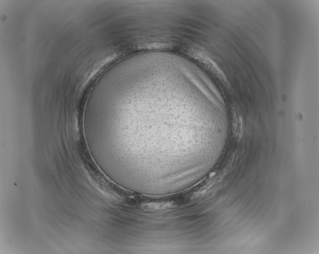 X0000075380251200609291558