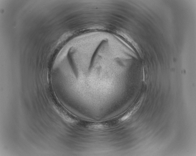 X0000075380253200609291558