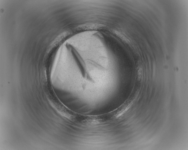 X0000075380254200609291558