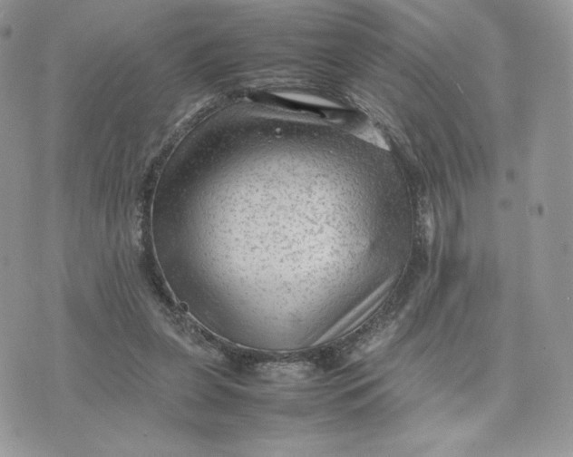 X0000075380255200609291558