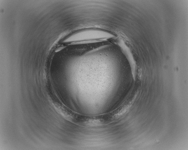 X0000075380256200609291558