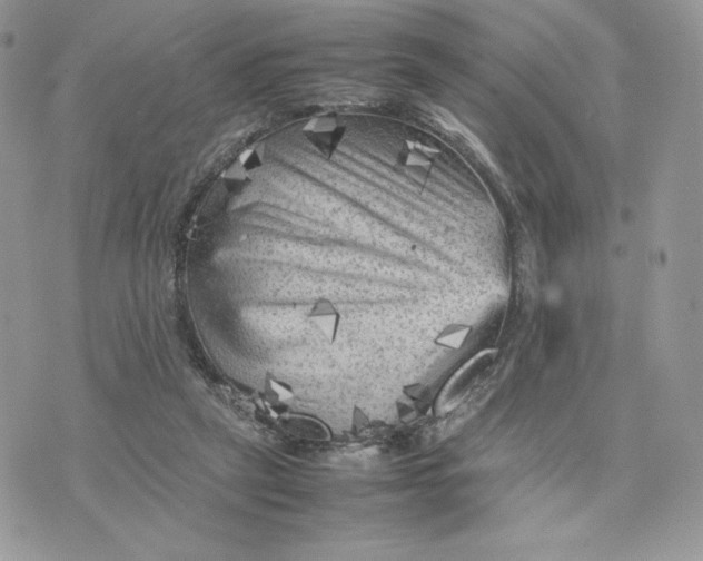 X0000075380257200609291558