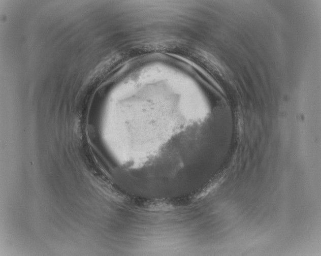 X0000075380258200609291558