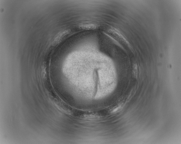 X0000075380259200609291558