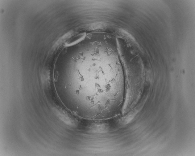 X0000075380260200609291558