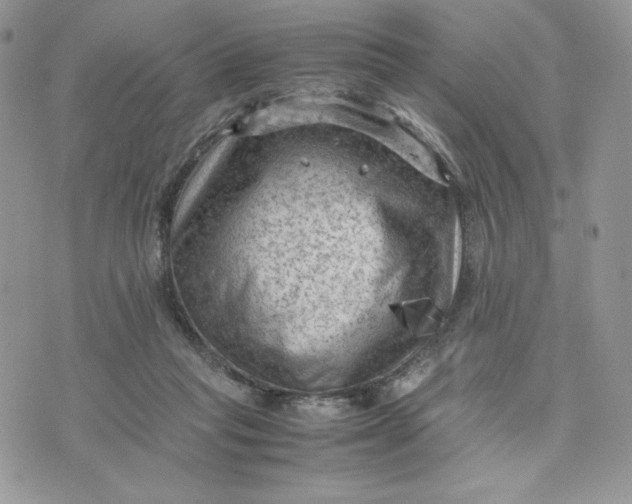 X0000075380261200609291558